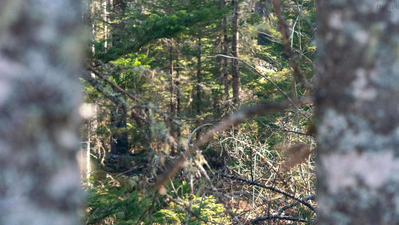 Lot 13 Maple Drive, Lower Ohio, NS