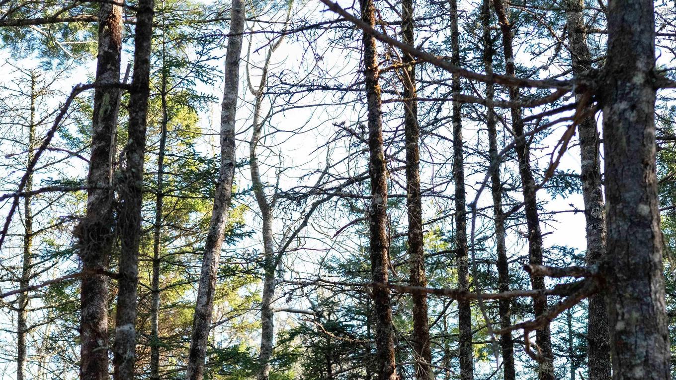 Lot 13 Maple Drive, Lower Ohio, NS