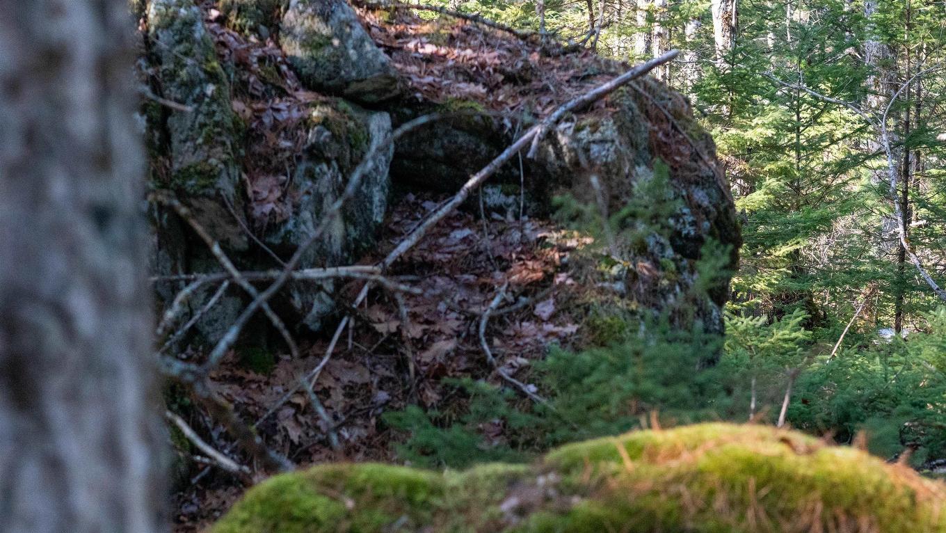 Lot 13 Maple Drive, Lower Ohio, NS