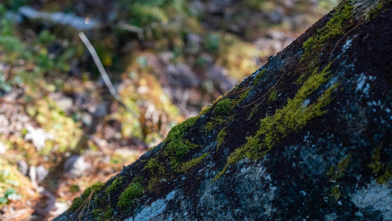 Lot 13 Maple Drive, Lower Ohio, NS