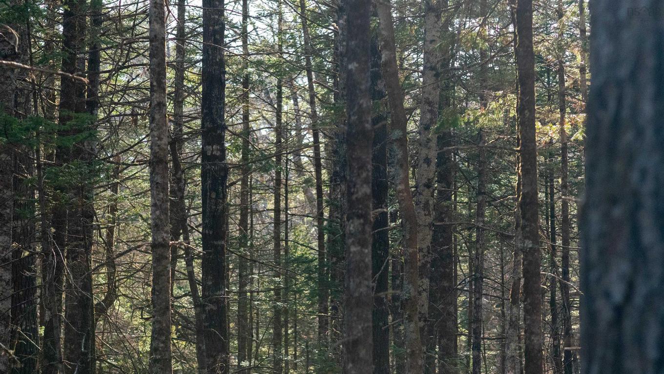 Lot 13 Maple Drive, Lower Ohio, NS