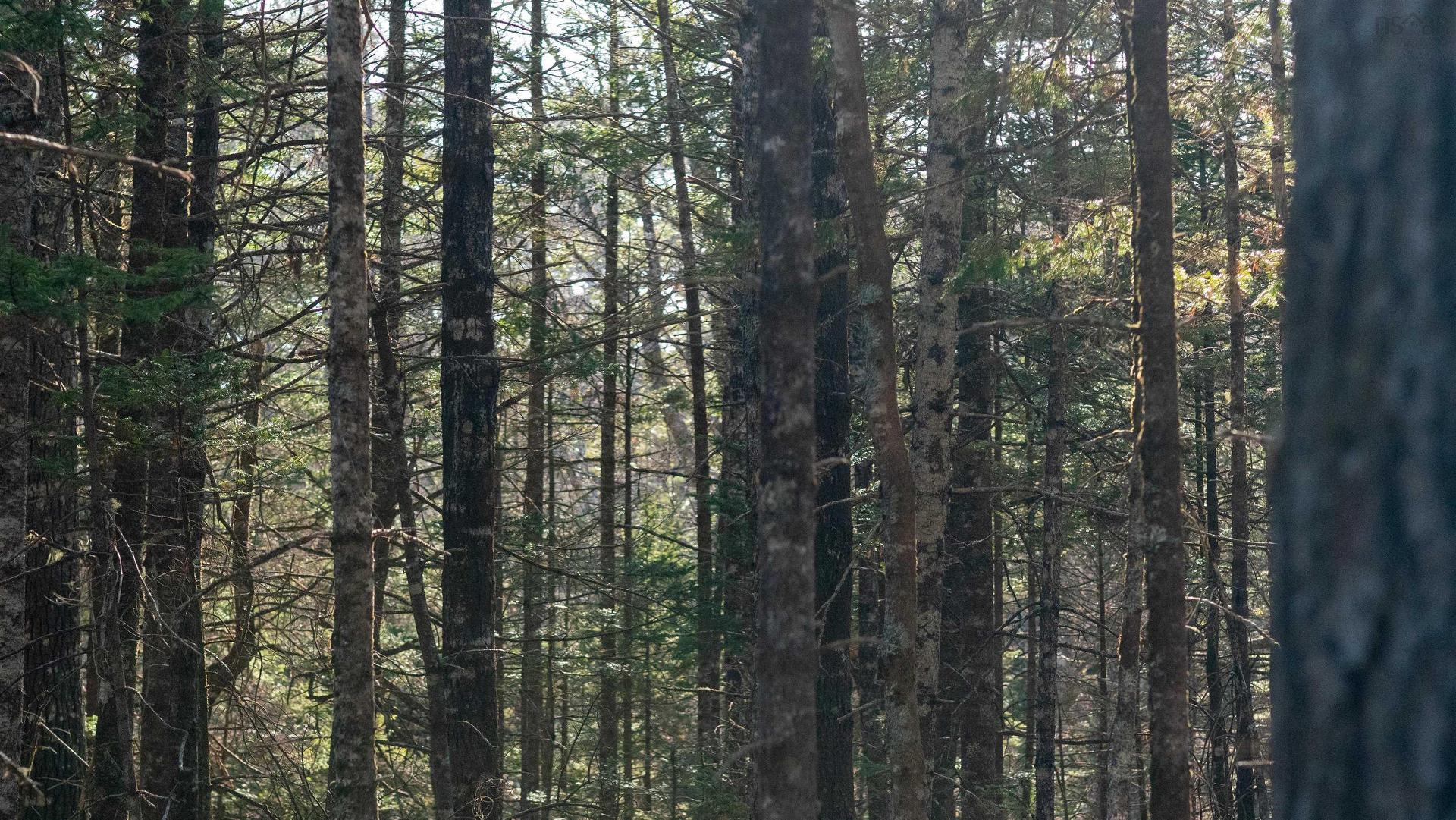 Lot 13 Maple Drive, Lower Ohio, NS