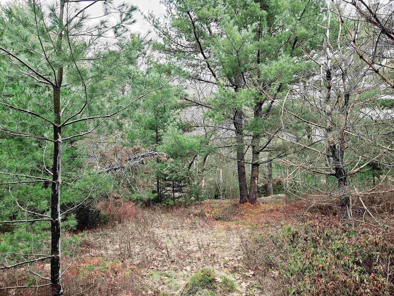 Lot 13 Maple Drive, Lower Ohio, NS