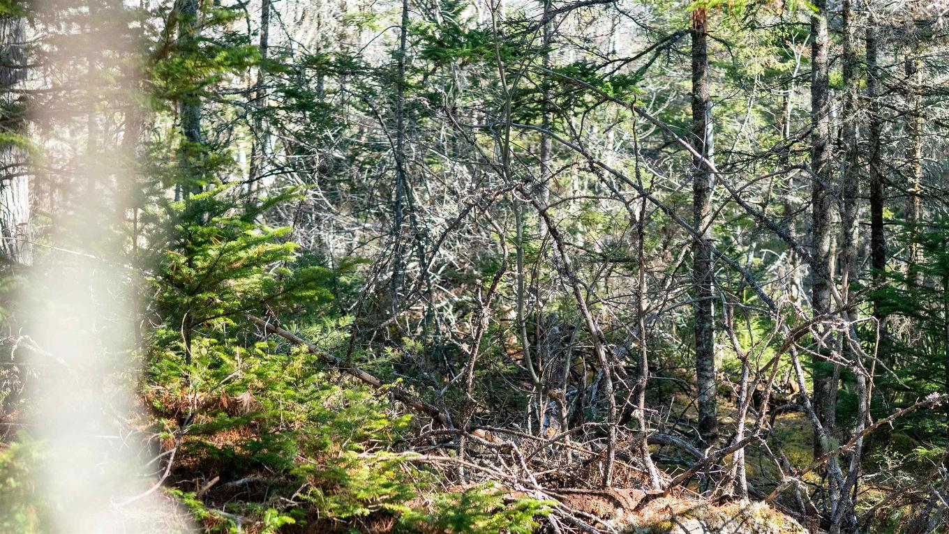 Lot 13 Maple Drive, Lower Ohio, NS