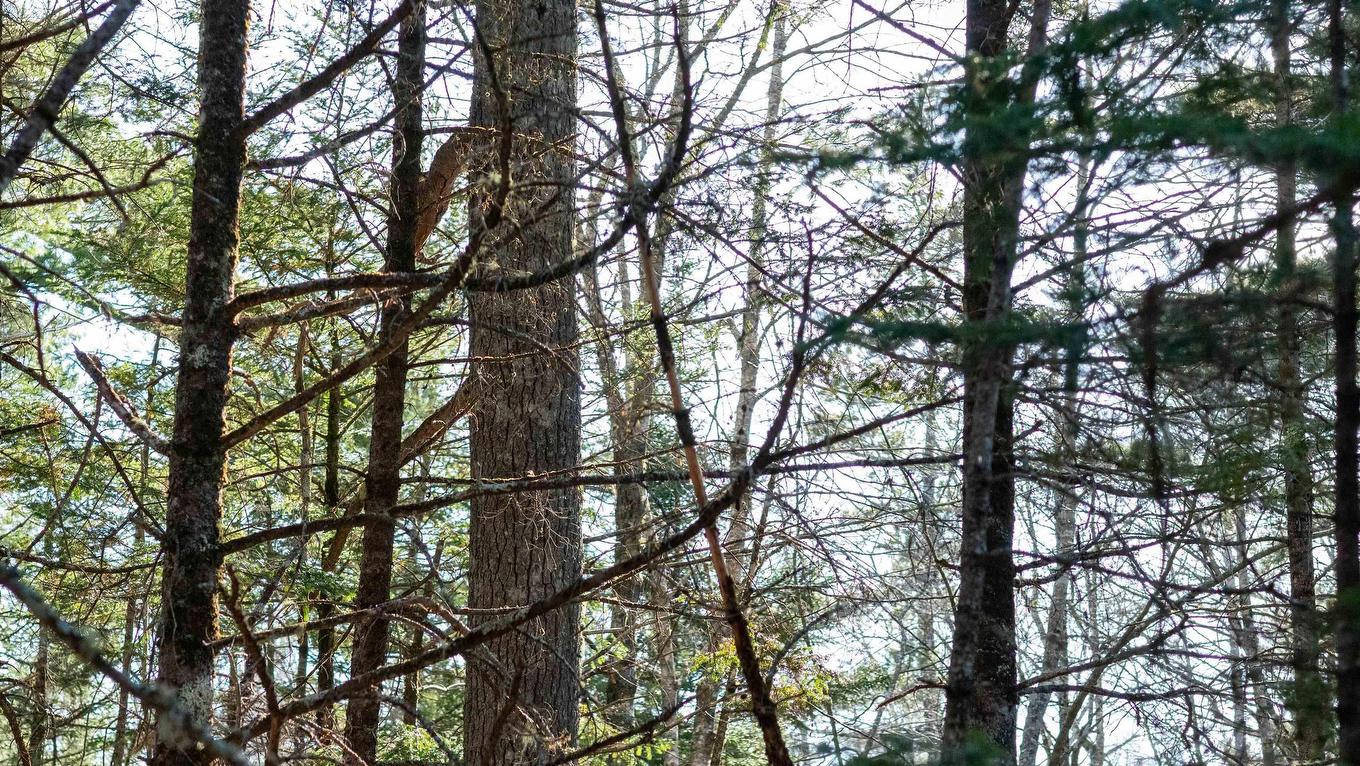 Lot 14 Maple Drive, Lower Ohio, NS