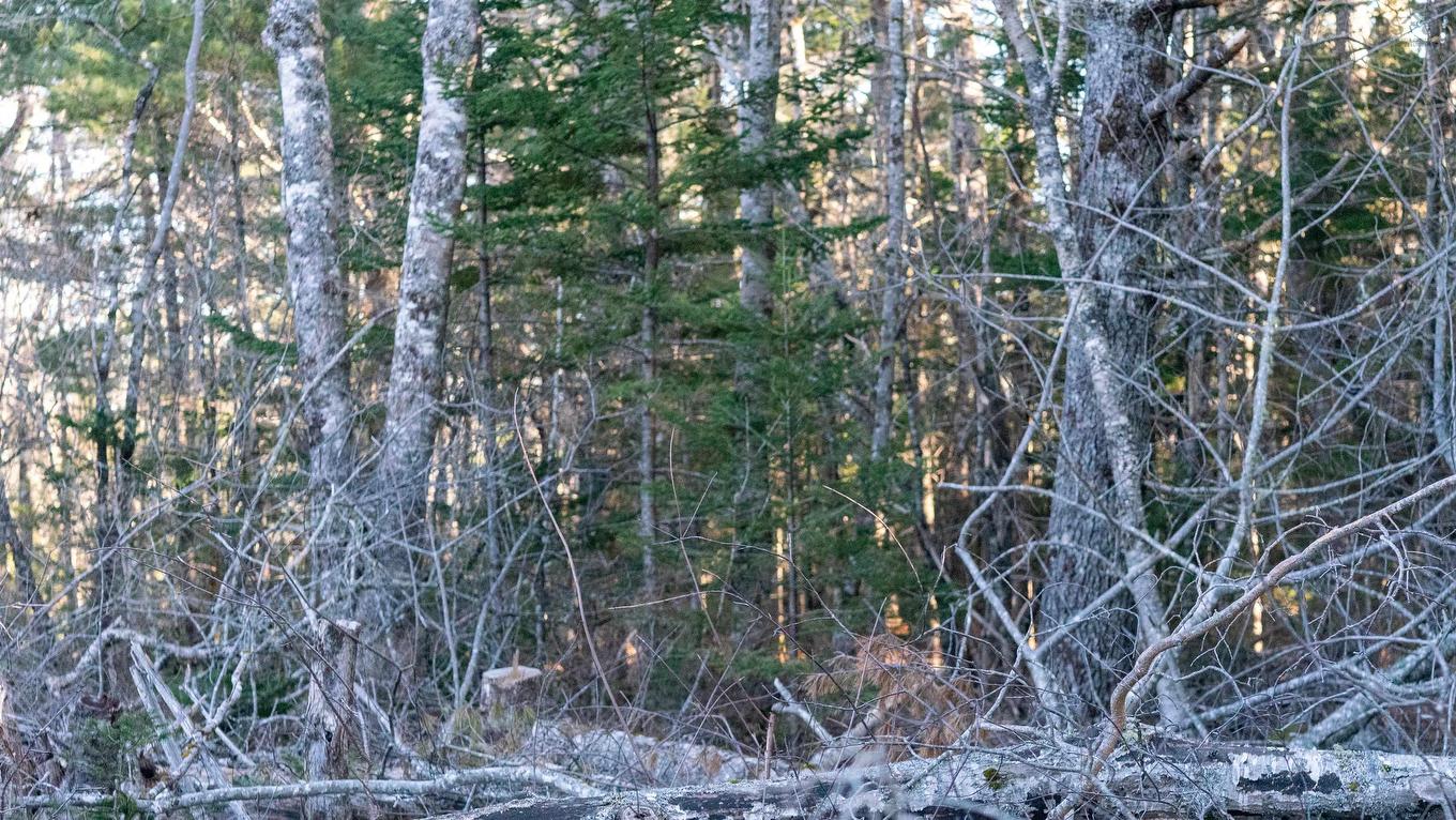 Lot 14 Maple Drive, Lower Ohio, NS
