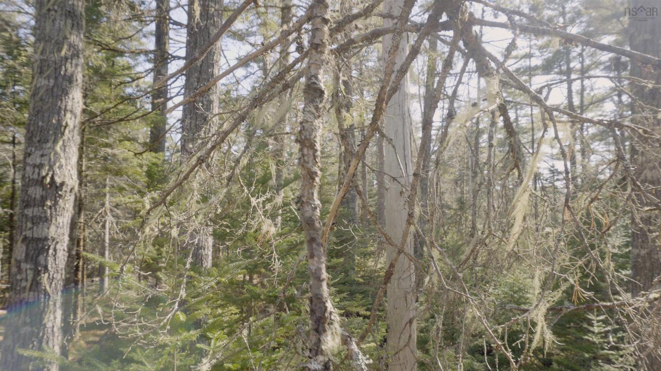Lot 14 Maple Drive, Lower Ohio, NS