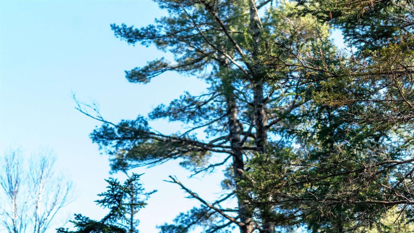 Lot 14 Maple Drive, Lower Ohio, NS