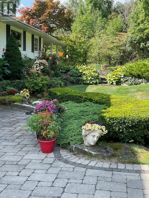 37001 Millar Street, Ashfield-Colborne-Wawanosh (Colborne), ON - Outdoor