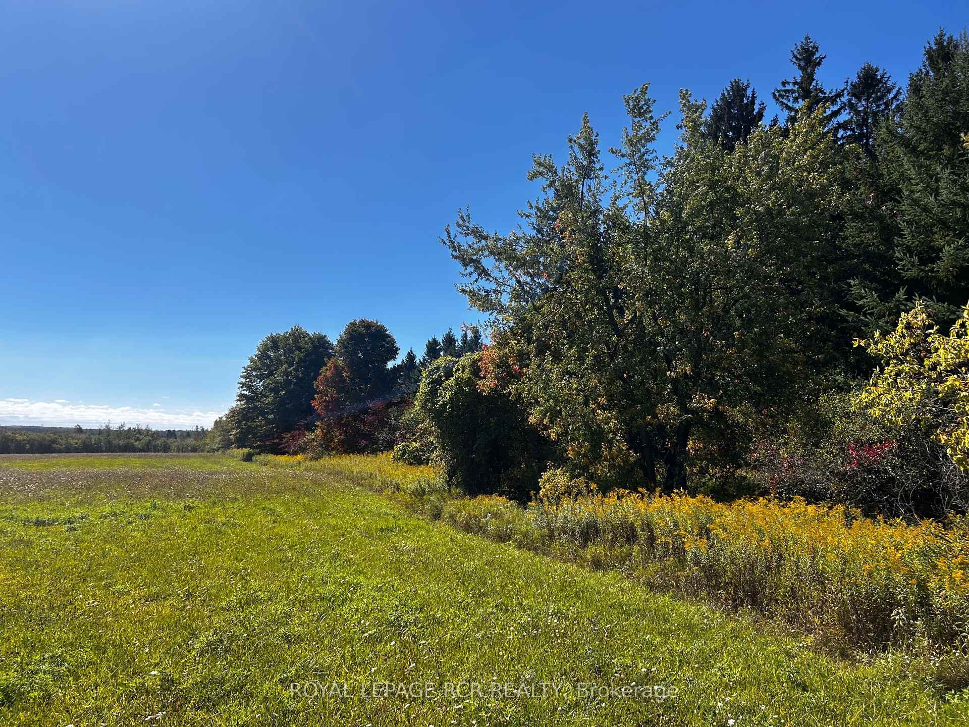 Ptlt 20 Con 8 (9Th Line) N/A, Amaranth, ON