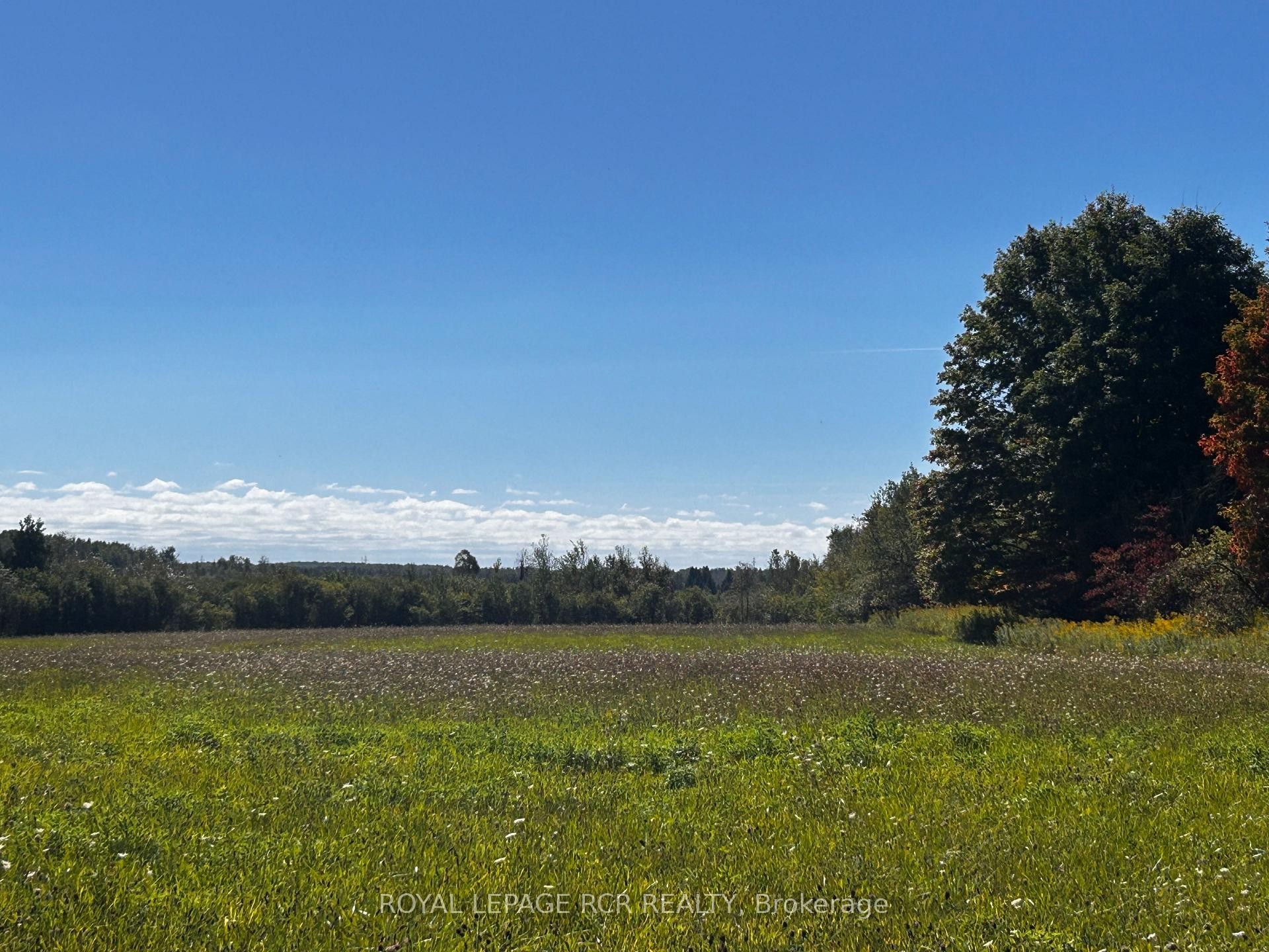 Ptlt 20 Con 8 (9Th Line) N/A, Amaranth, ON