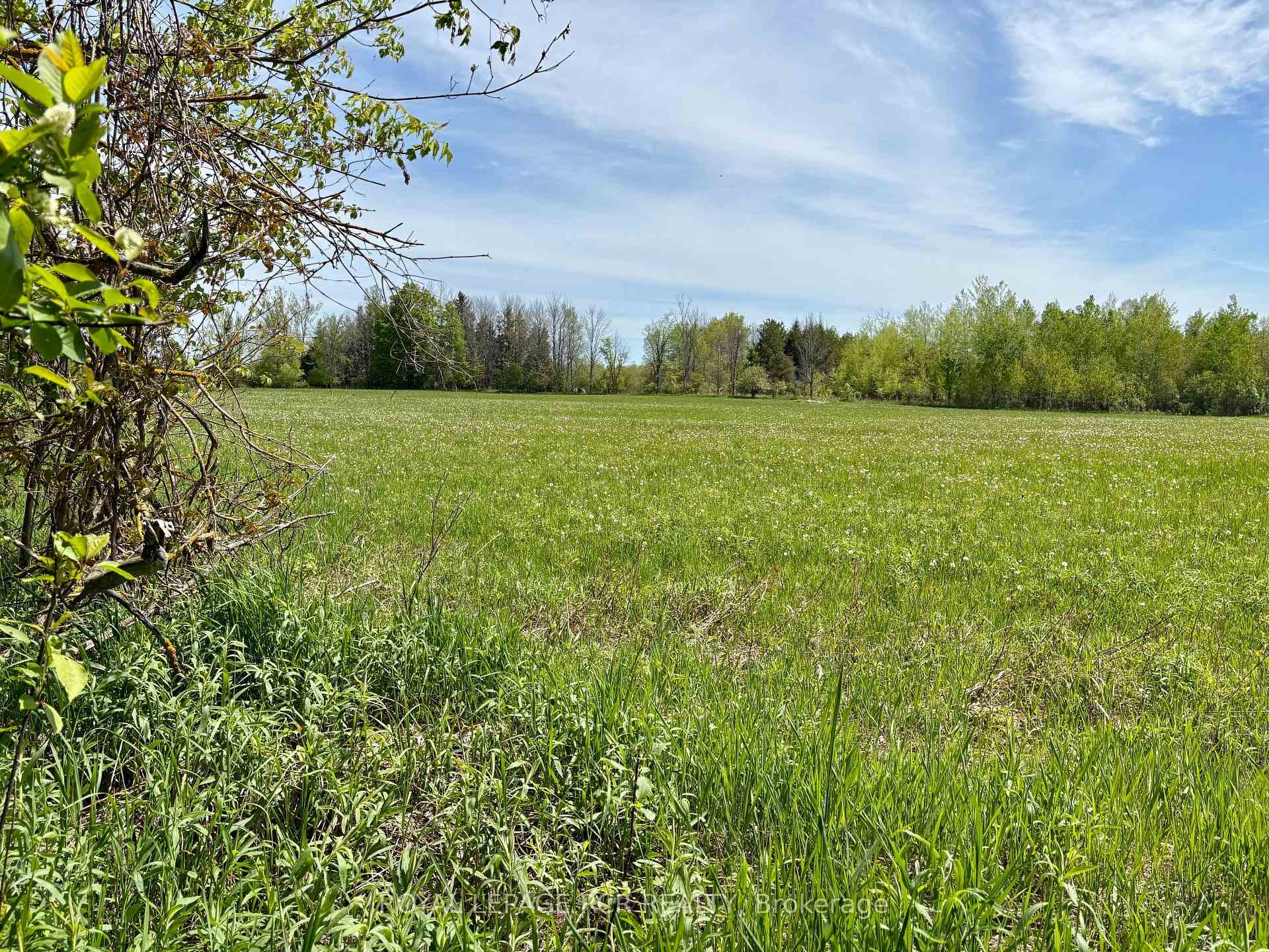 Ptlt 20 Con 8 (9Th Line) N/A, Amaranth, ON