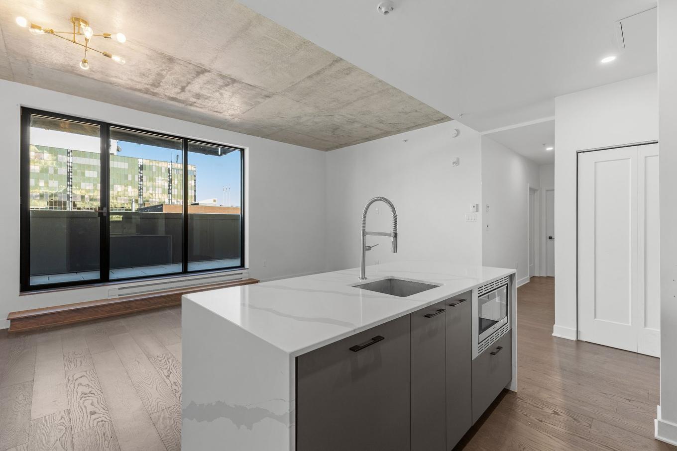 Cuisine - 808-1575 Rue Gareau, Montréal (Ville-Marie), QC - Indoor Photo Showing Kitchen With Upgraded Kitchen