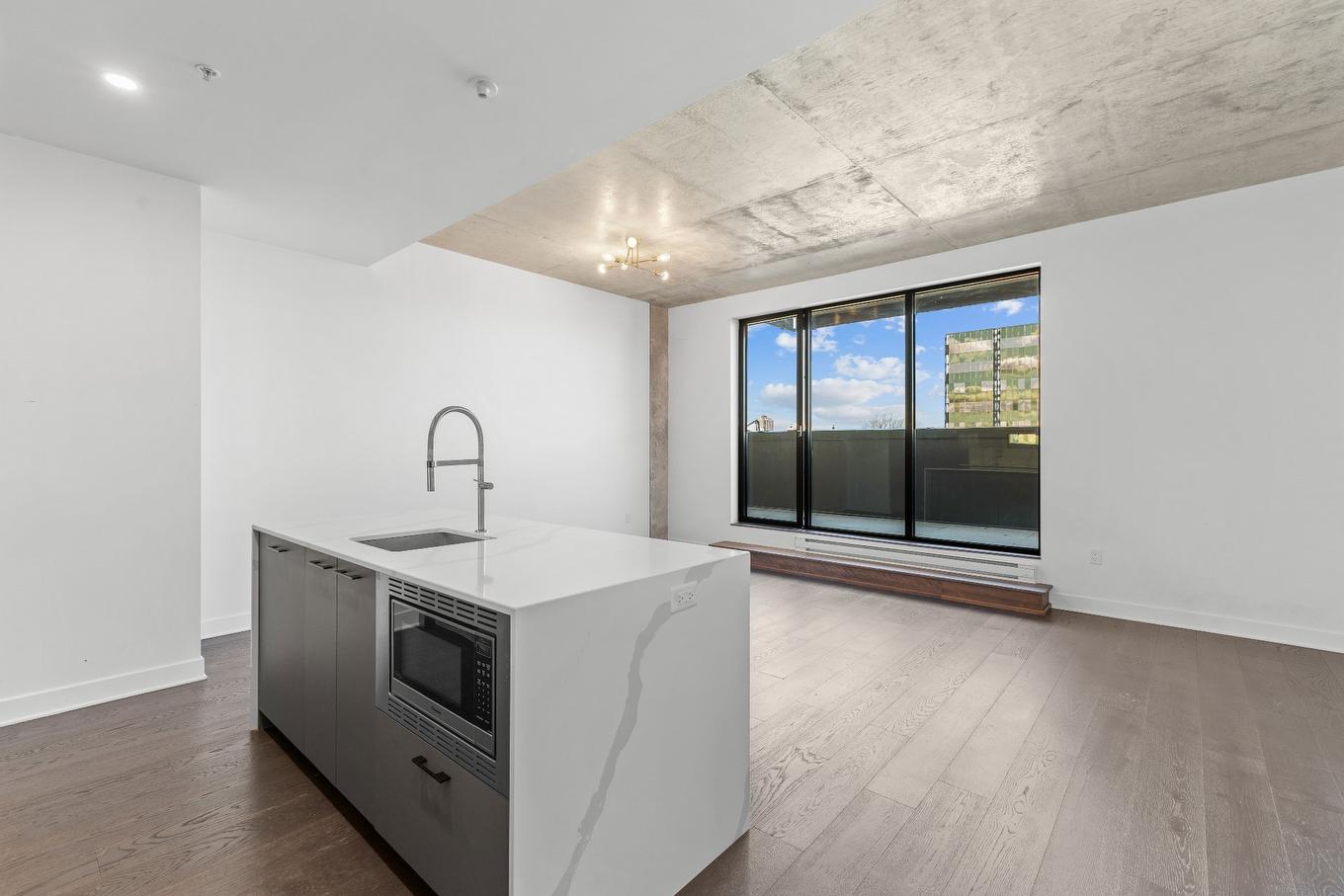 Vue d'ensemble - 808-1575 Rue Gareau, Montréal (Ville-Marie), QC - Indoor Photo Showing Kitchen