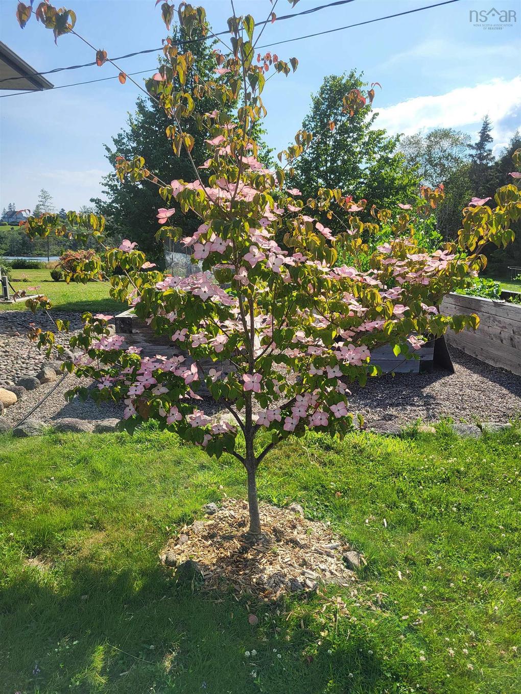 78 Fort Point Road, Lahave, NS