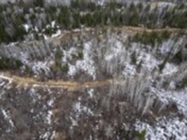 0 Hwy 61, Neebing, ON