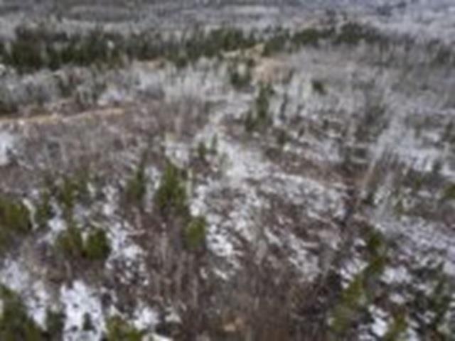 0 Hwy 61, Neebing, ON