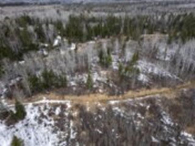 0 Hwy 61, Neebing, ON