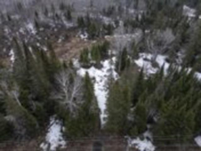 0 Hwy 61, Neebing, ON