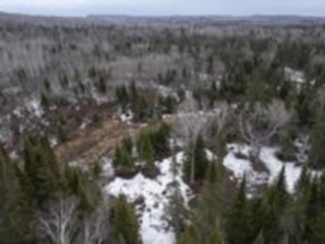 0 Hwy 61, Neebing, ON