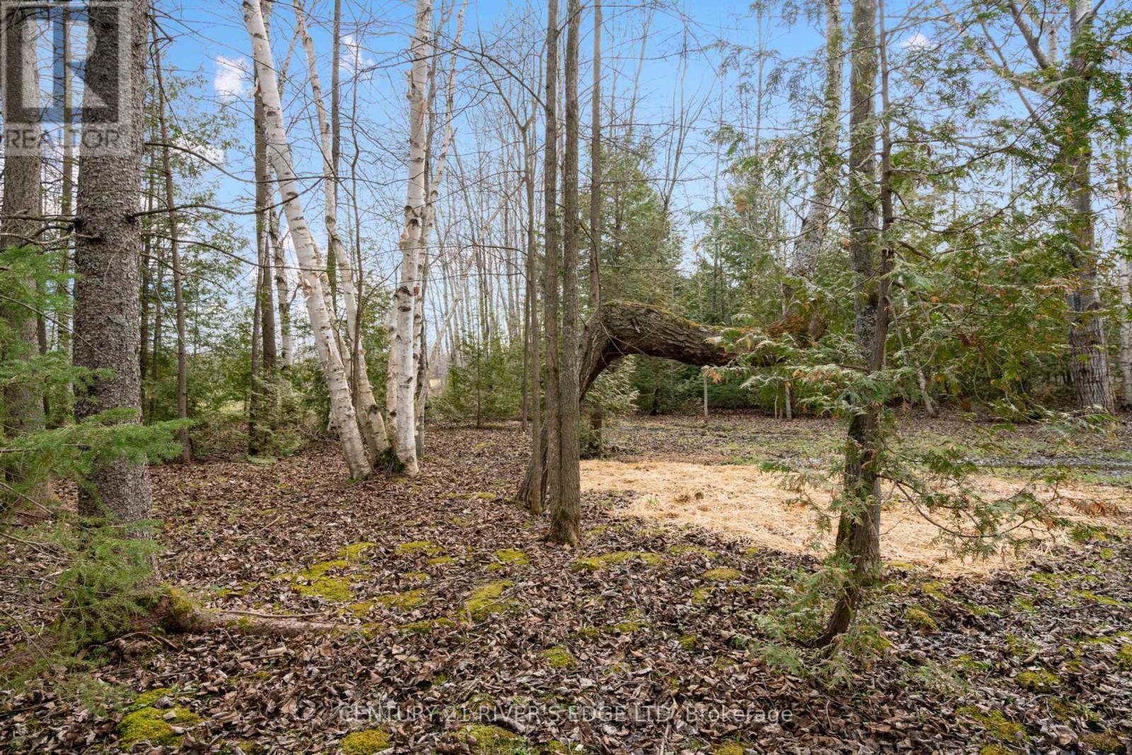 308 Forbes Road, North Grenville, ON