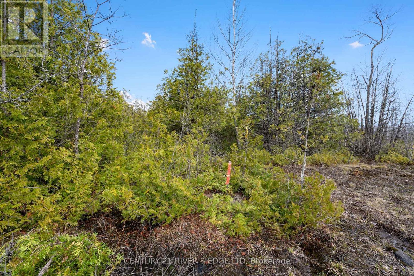 308 Forbes Road, North Grenville, ON