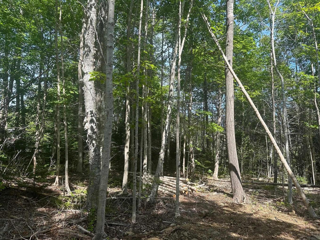 Lot 2 Highway 362, Victoria Vale, NS