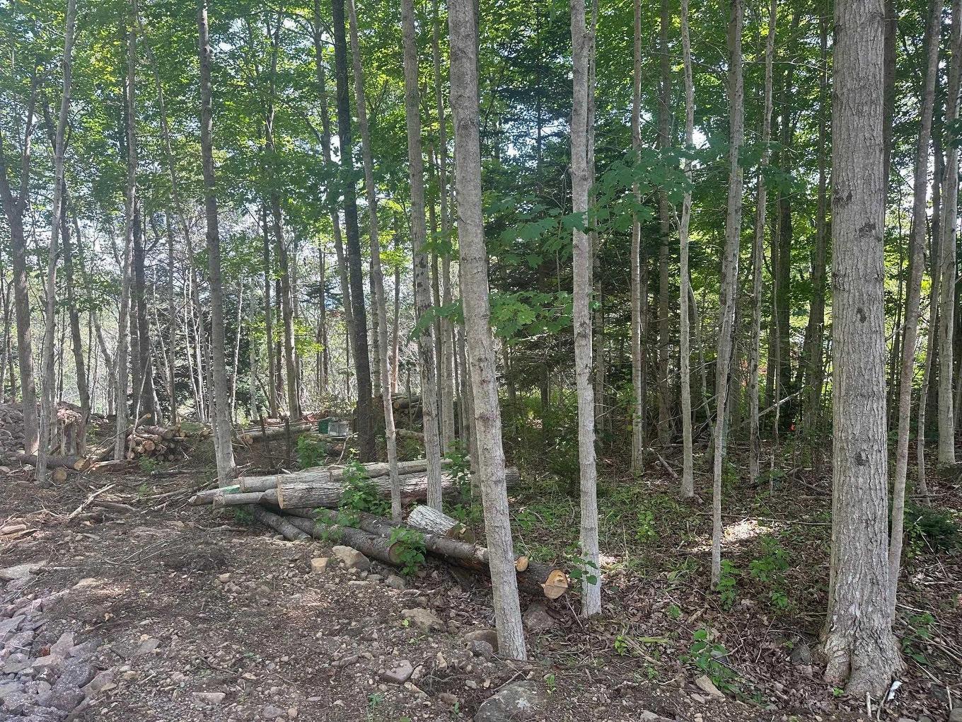 Lot 2 Highway 362, Victoria Vale, NS