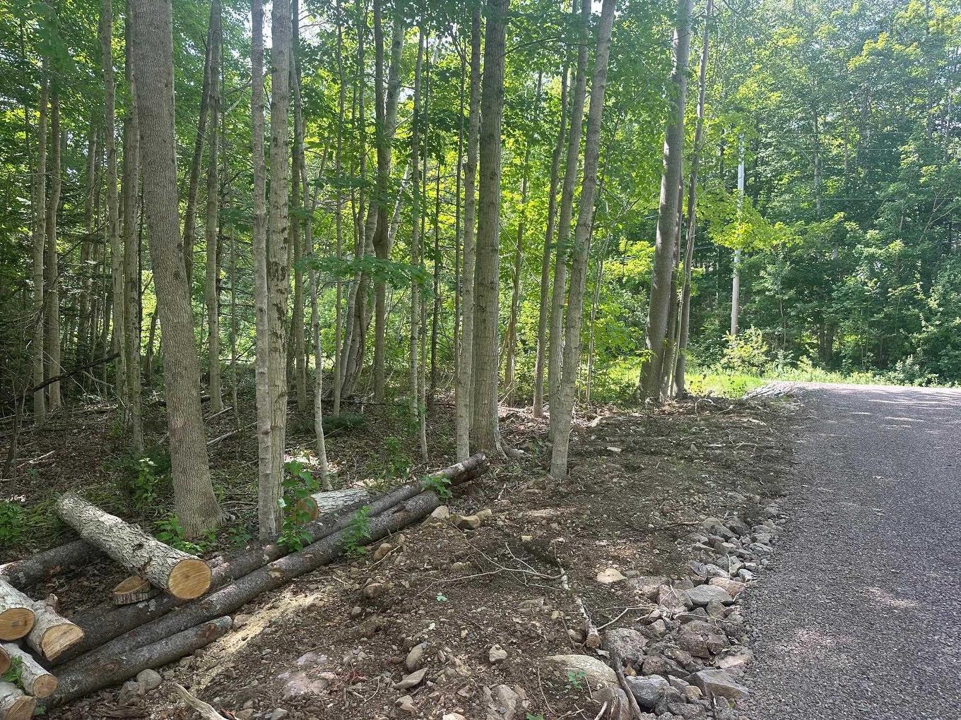 Lot 2 Highway 362, Victoria Vale, NS