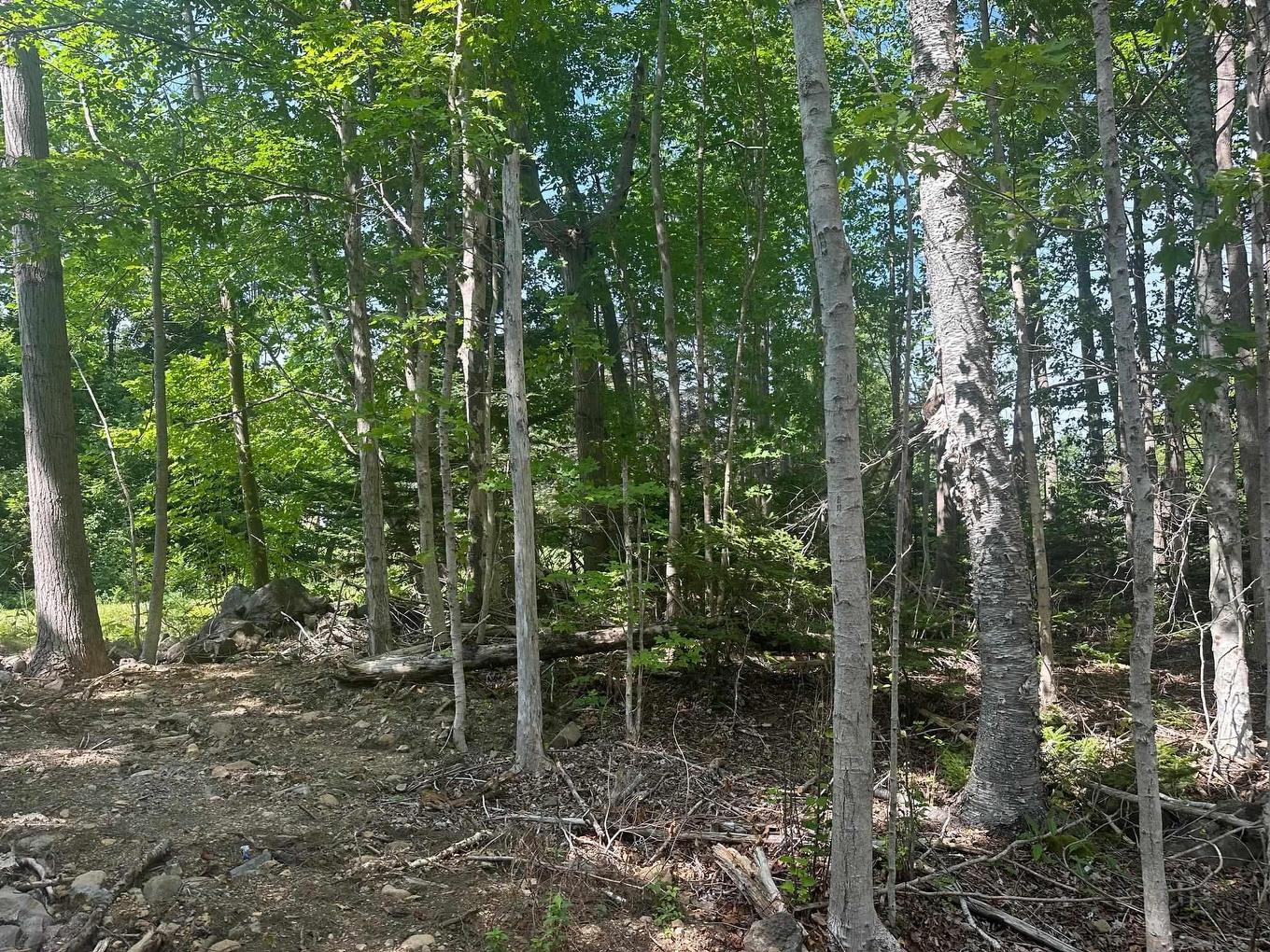 Lot 2 Highway 362, Victoria Vale, NS
