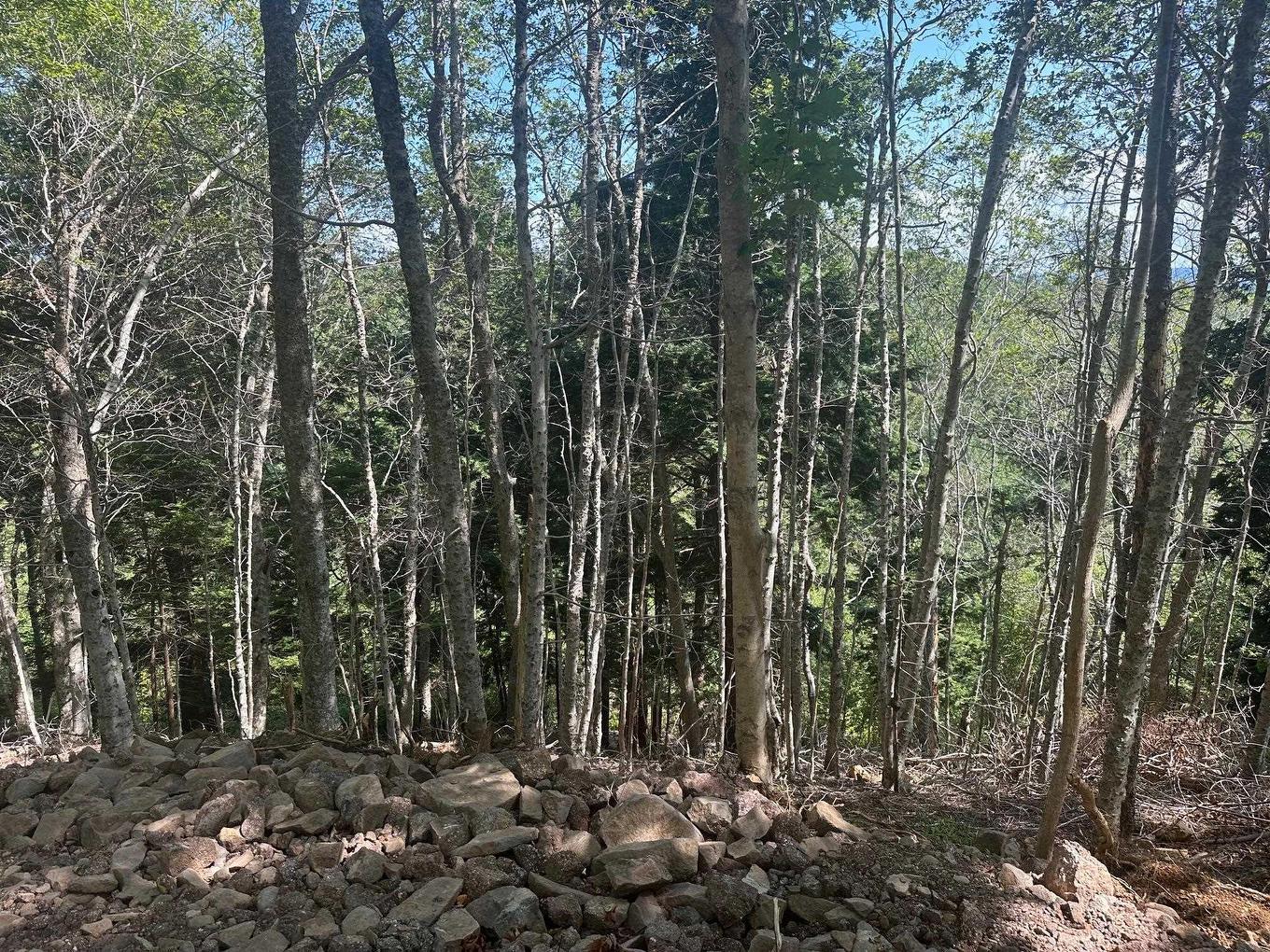 Lot 2 Highway 362, Victoria Vale, NS