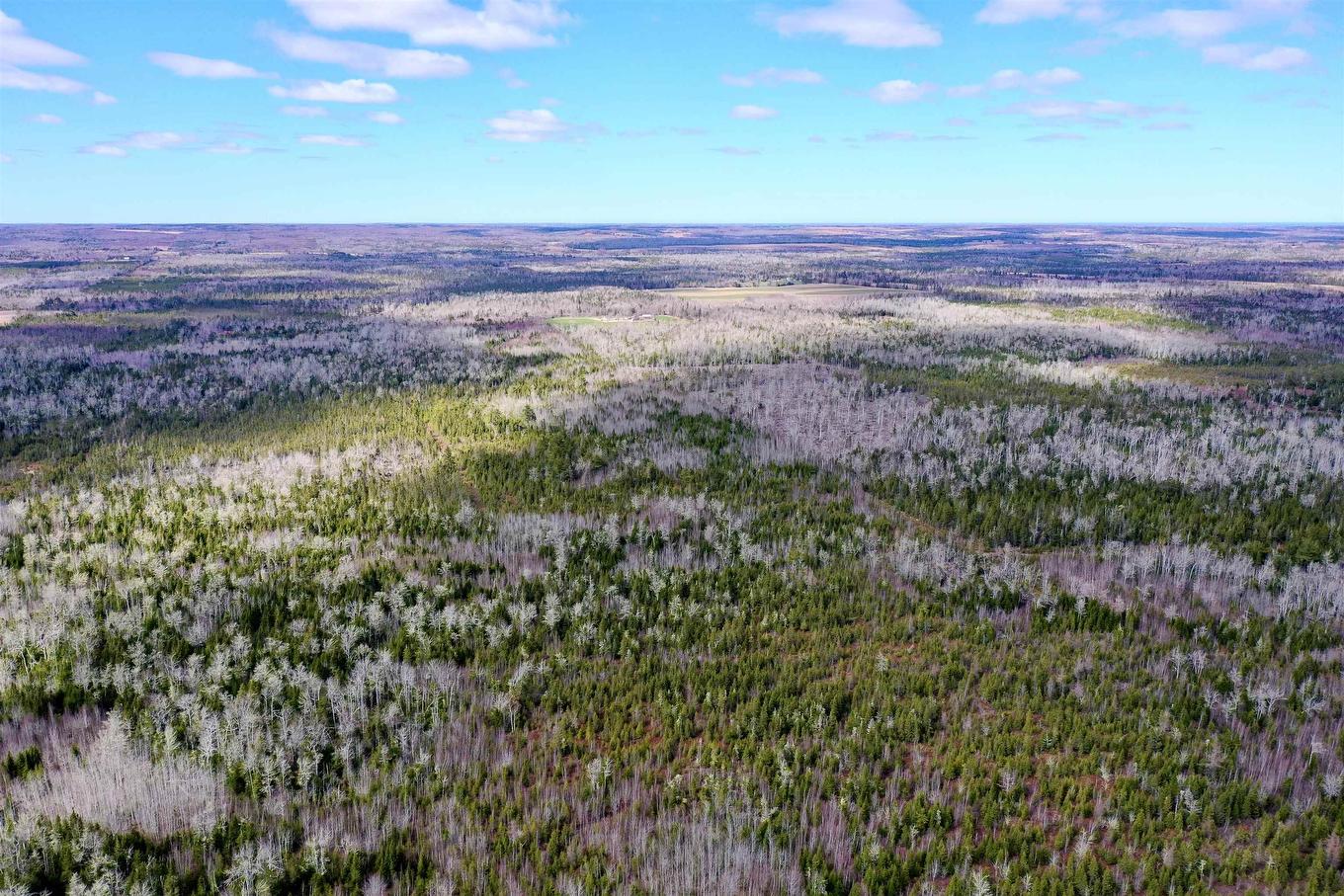 Acreage Grays Road, Hopefield, PE