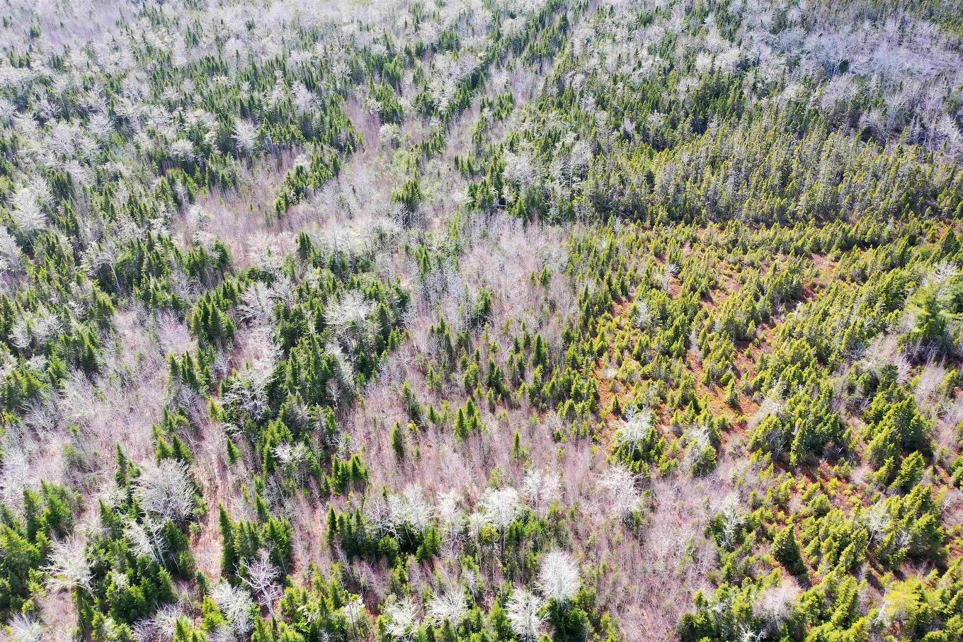 Acreage Grays Road, Hopefield, PE