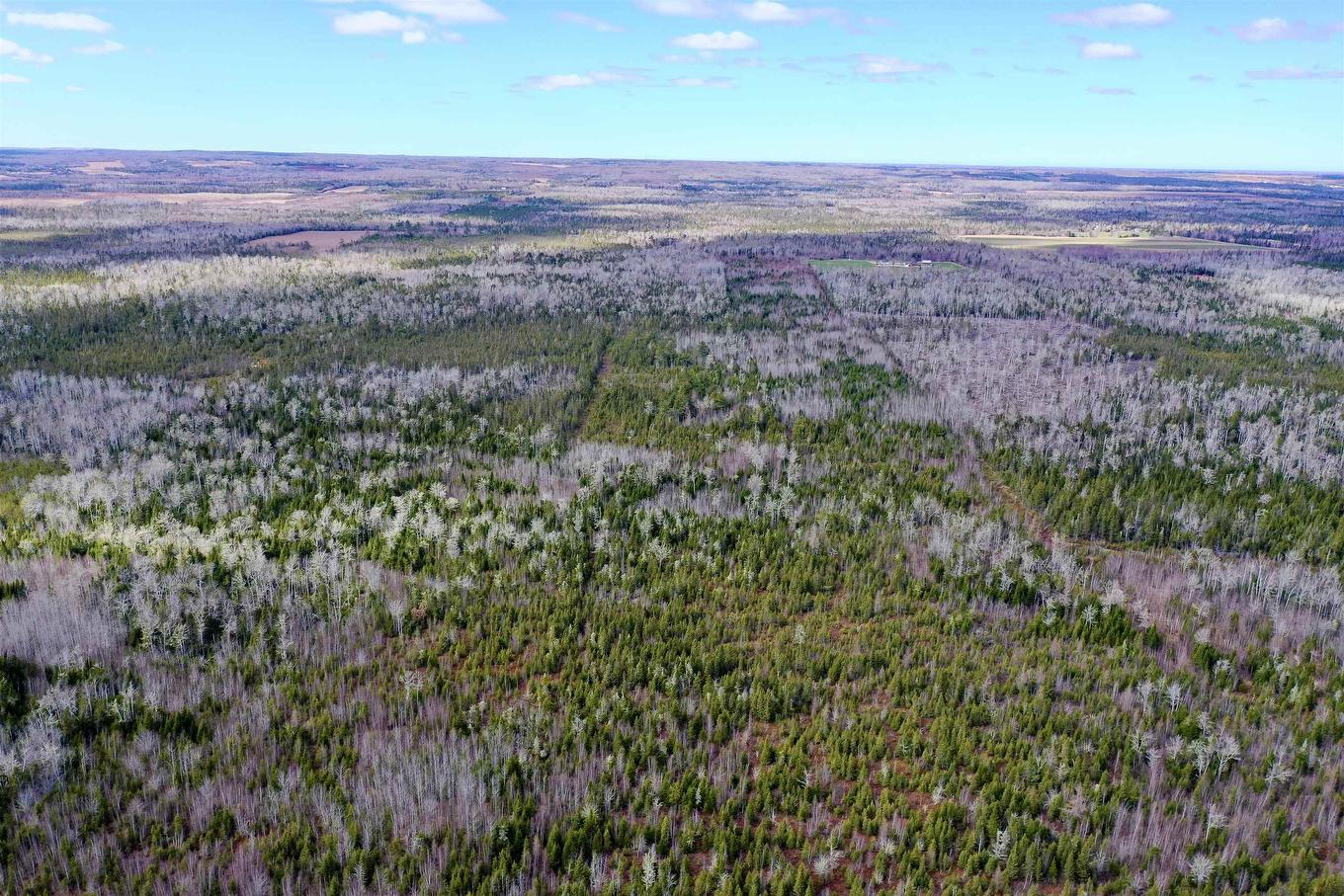 Acreage Grays Road, Hopefield, PE