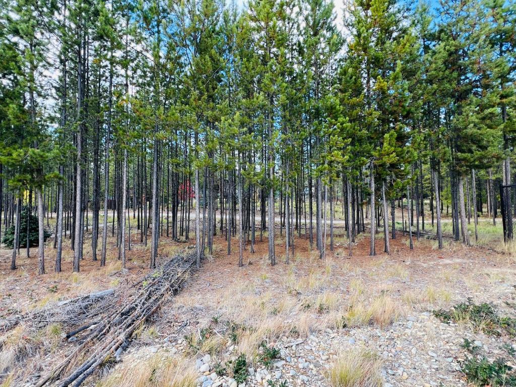 106 Forest Crowne Crescent, Kimberley, BC - Outdoor With View