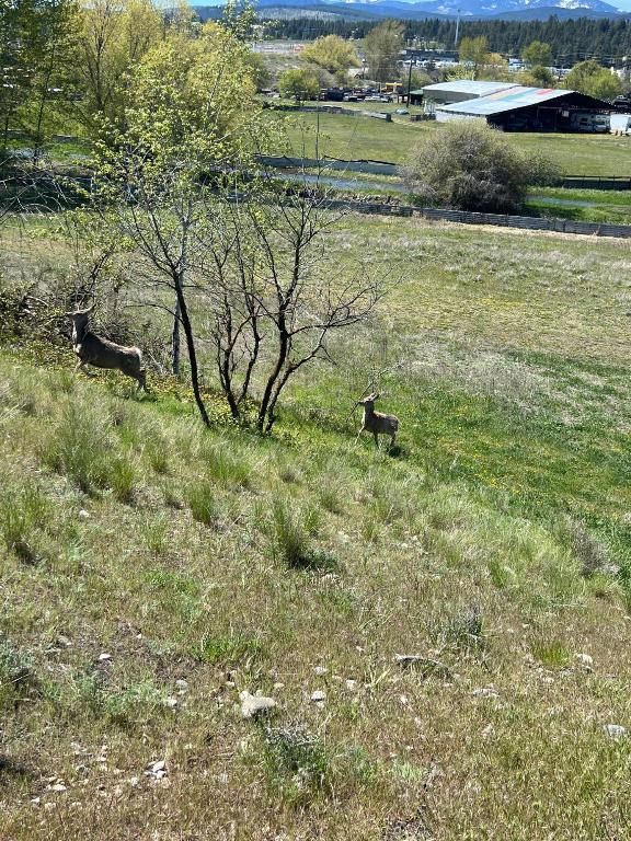 2400 22Nd N Street, Cranbrook, BC