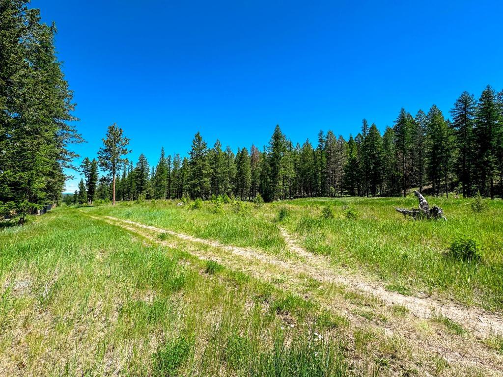 1608 Mount Royal Peak, Cranbrook, BC - Outdoor With View