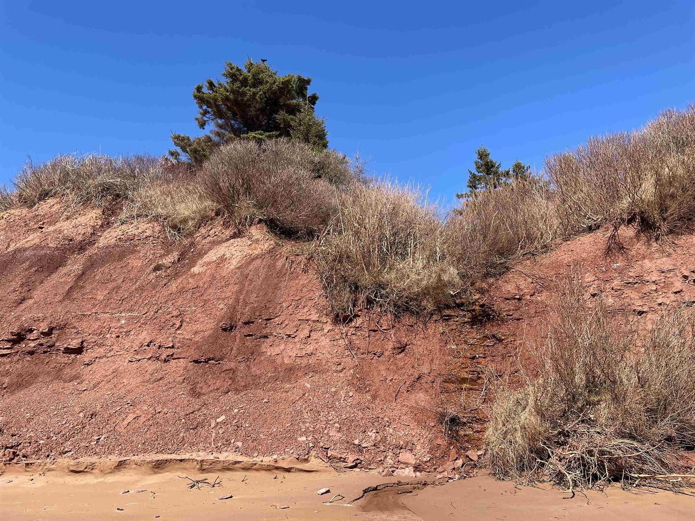 Acreage Grand Digue Road, Derby, PE