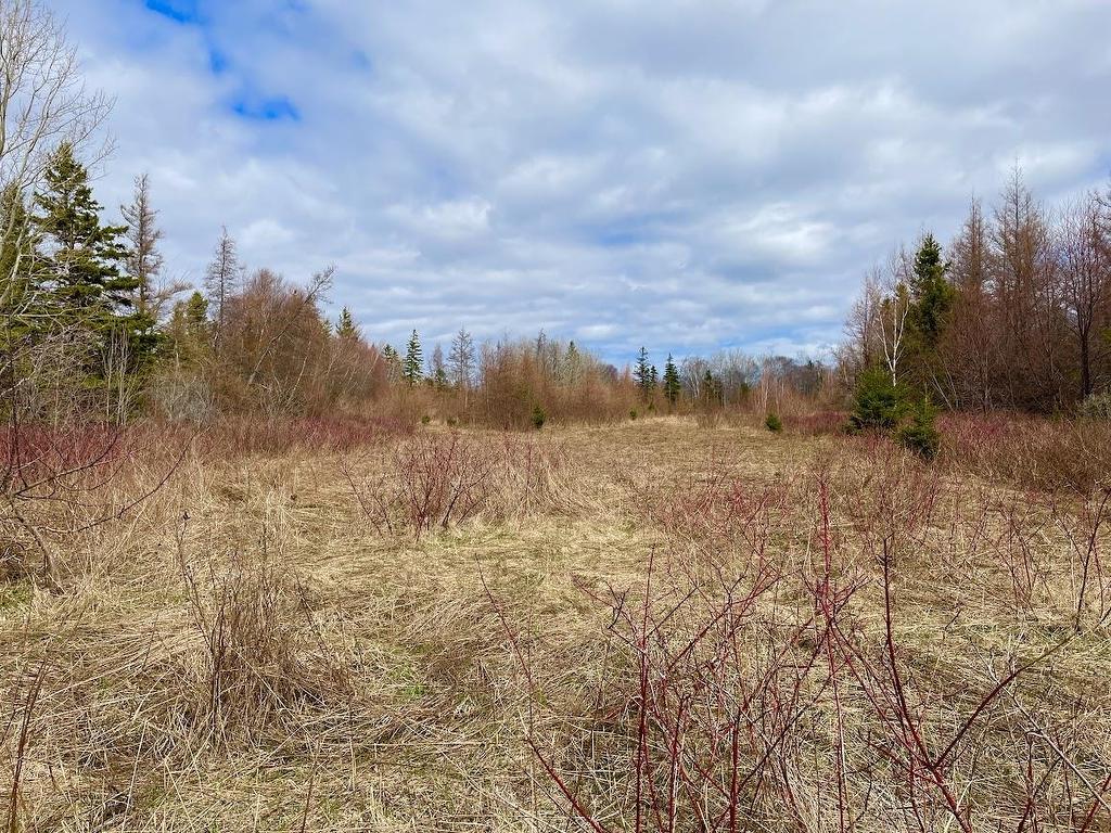 Acreage Grand Digue Road, Derby, PE