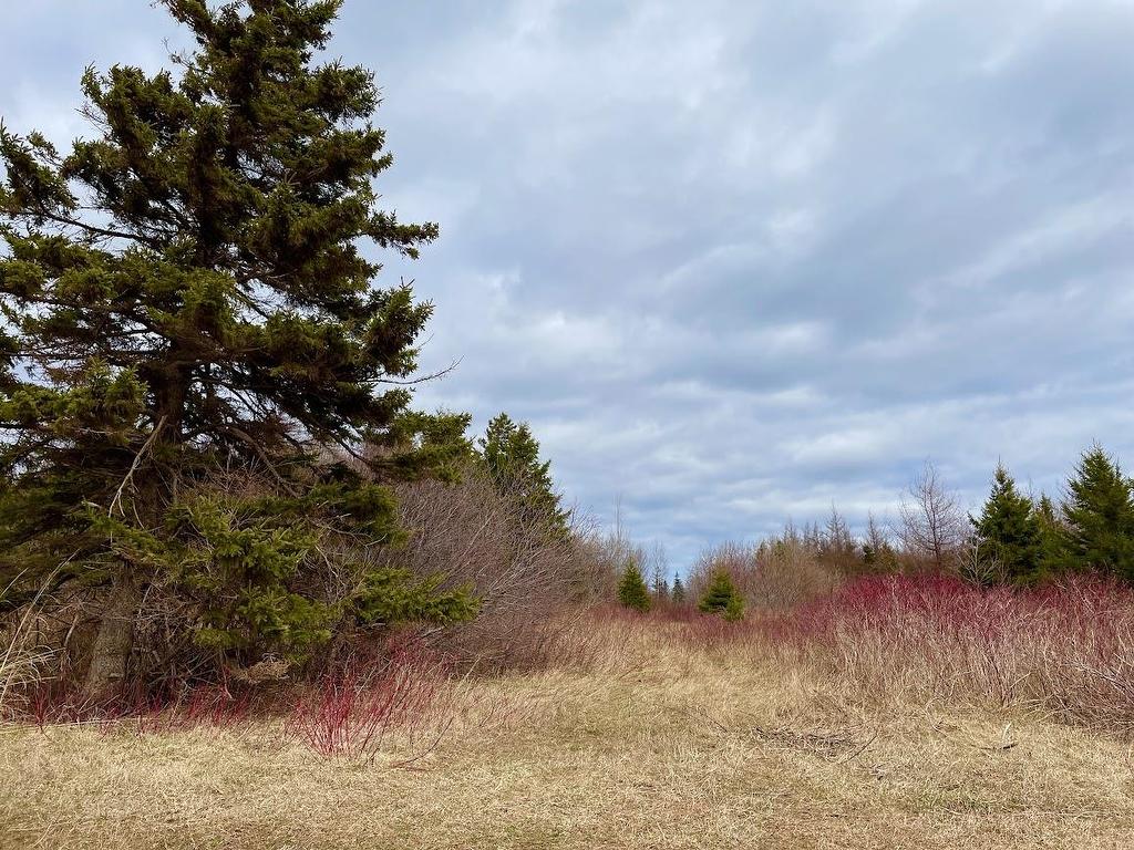 Acreage Grand Digue Road, Derby, PE