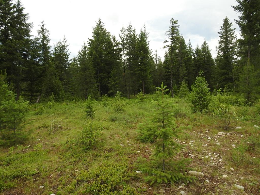 9700 6 Highway, Edgewood, BC