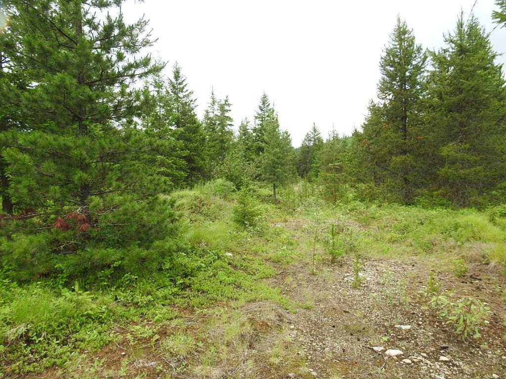 9700 6 Highway, Edgewood, BC