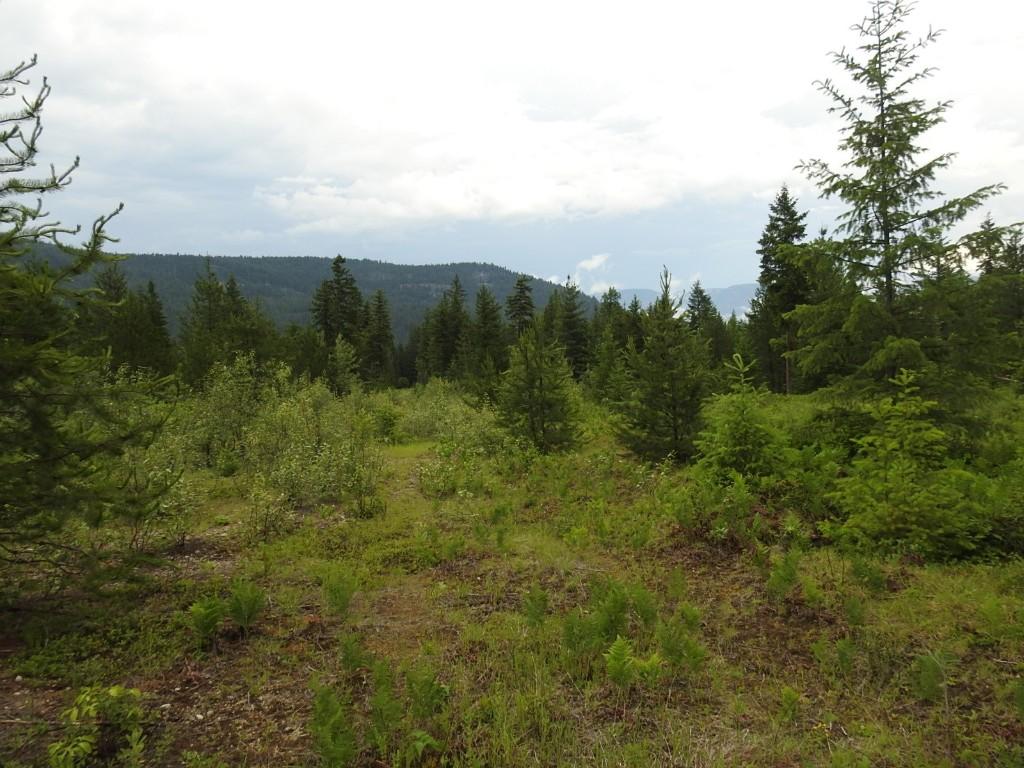 9700 6 Highway, Edgewood, BC