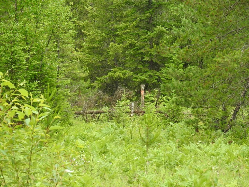 9700 6 Highway, Edgewood, BC