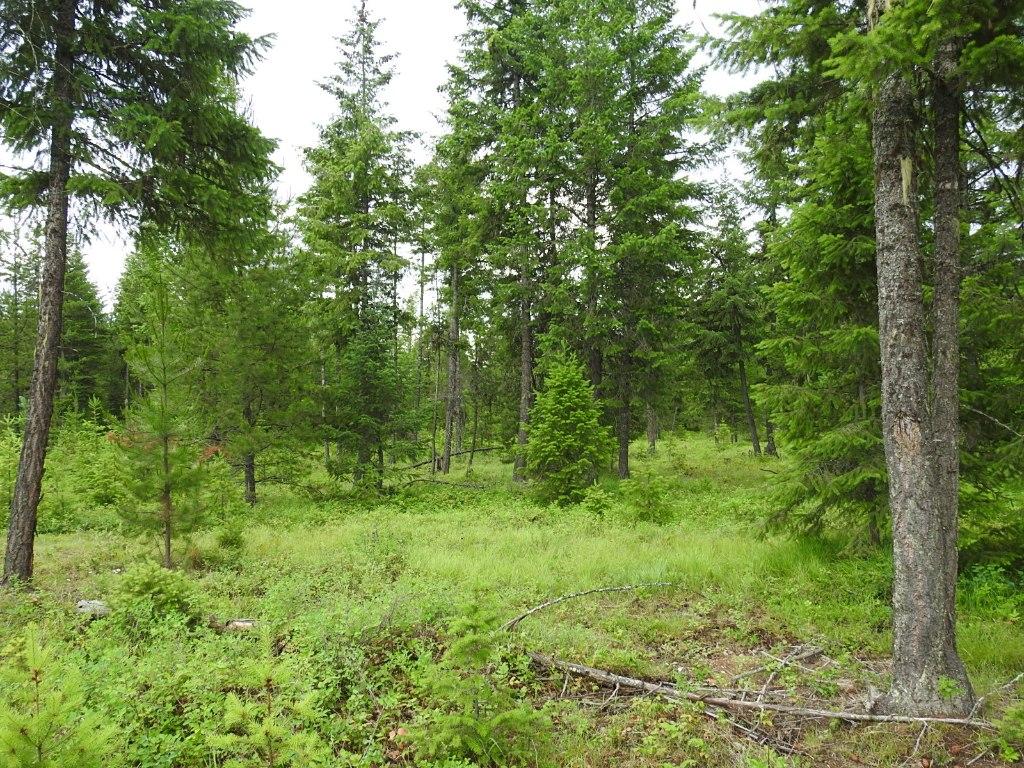 9700 6 Highway, Edgewood, BC