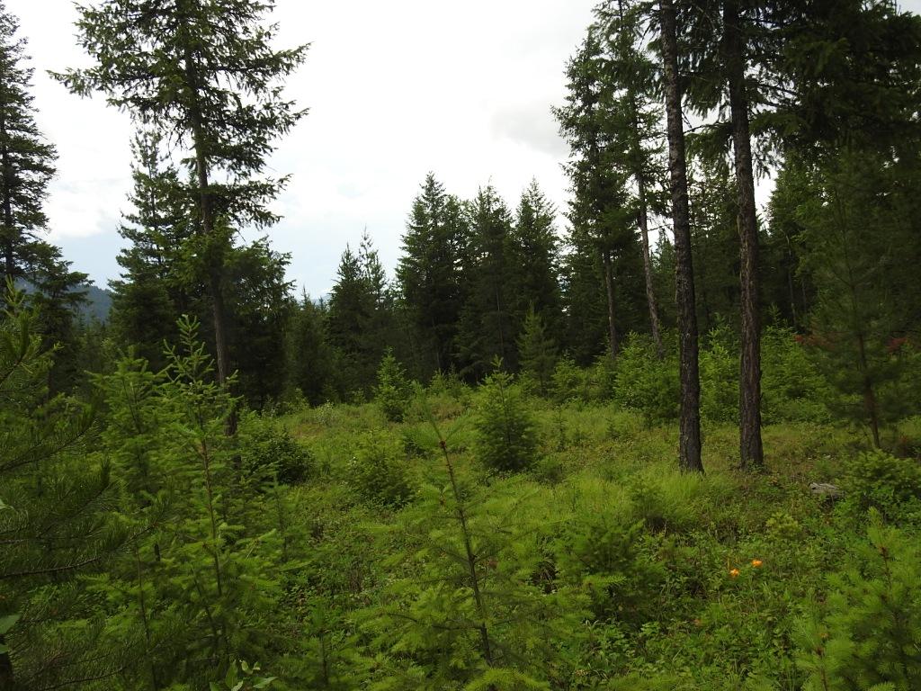 9700 6 Highway, Edgewood, BC