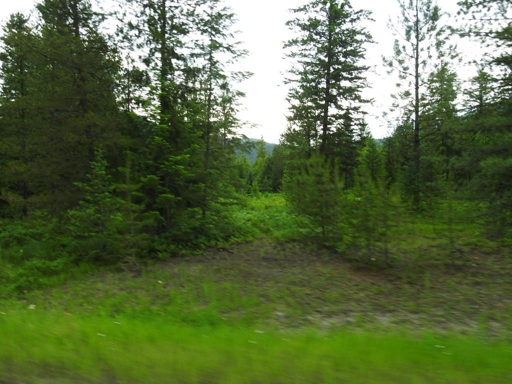 9700 6 Highway, Edgewood, BC