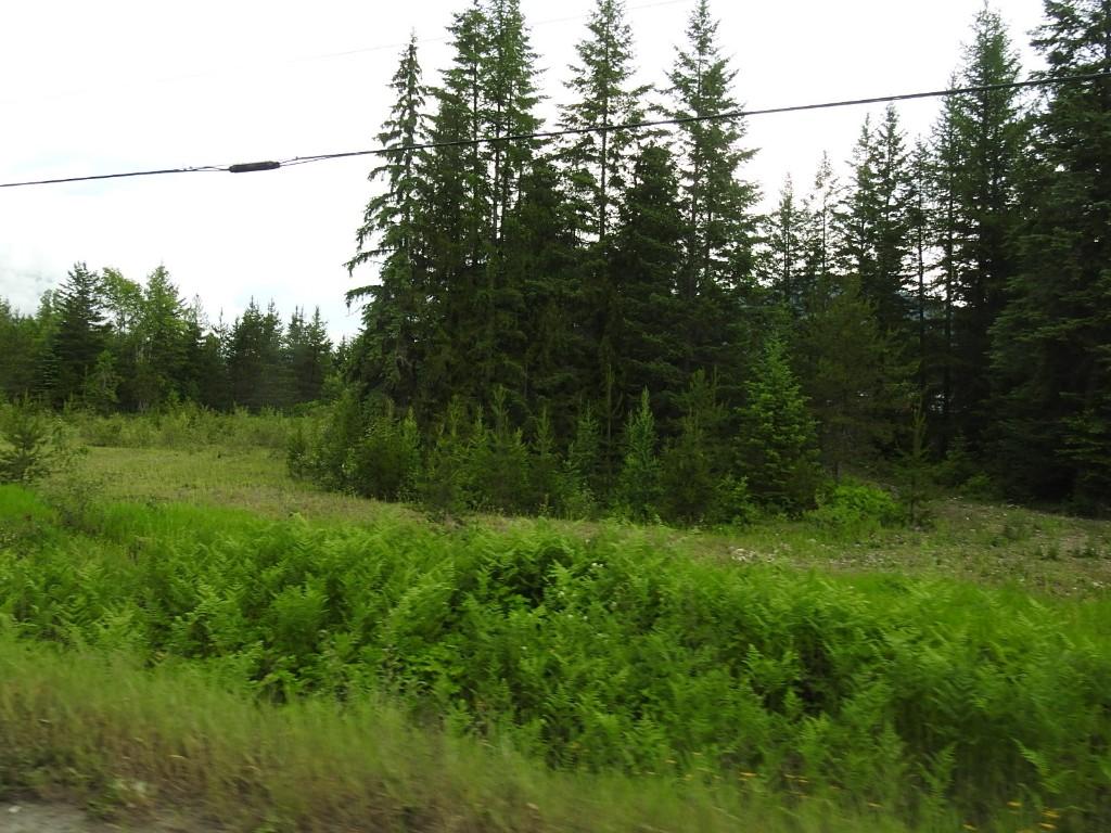 9700 6 Highway, Edgewood, BC