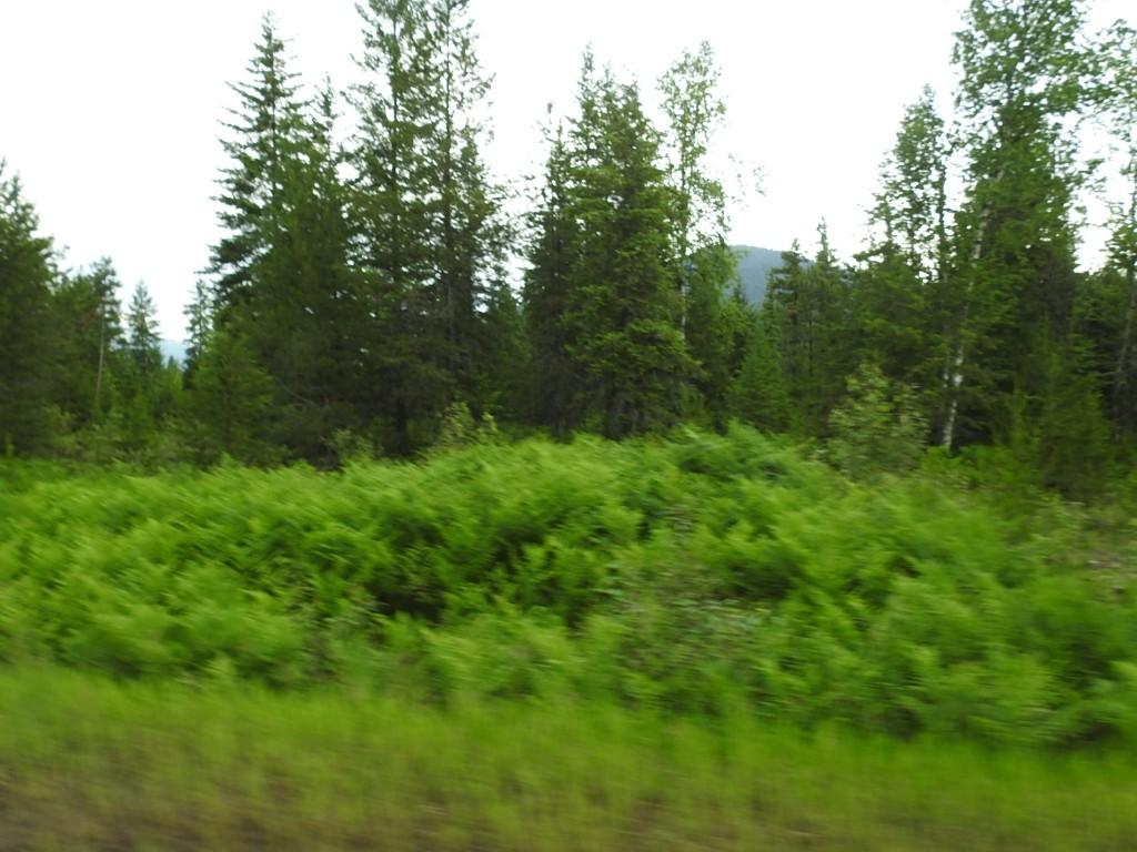 9700 6 Highway, Edgewood, BC