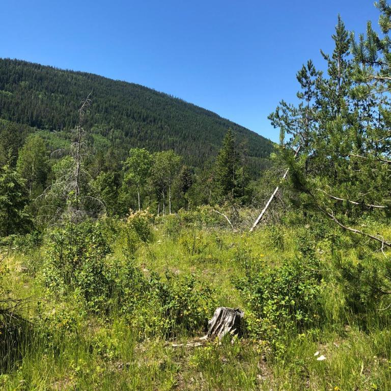 8045 95 Highway, Kingsgate, BC